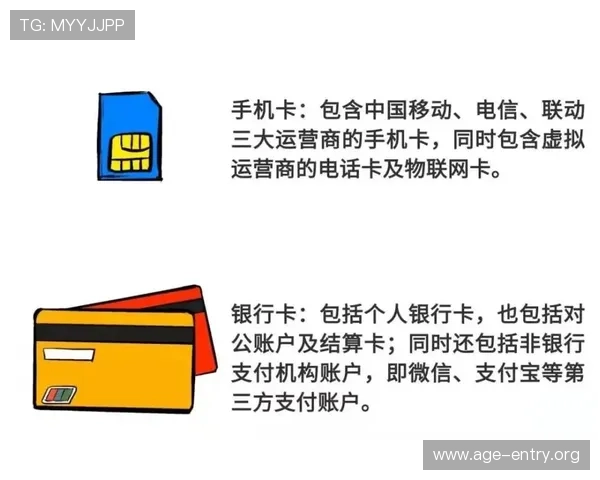 ag现金网电投网平台操作指南，详细步骤帮助新手快速上手实现稳定盈利